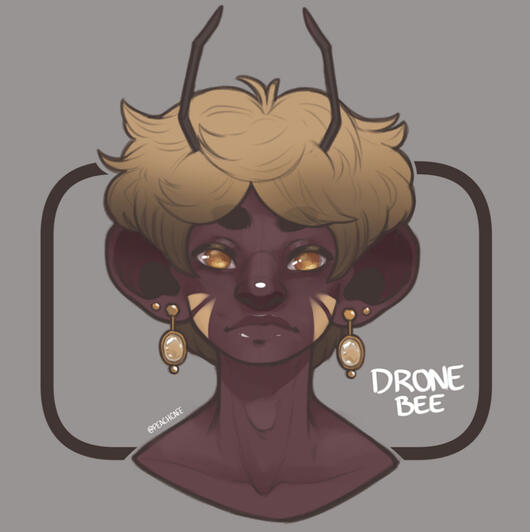 Bee OC:Drone (11/12/23)